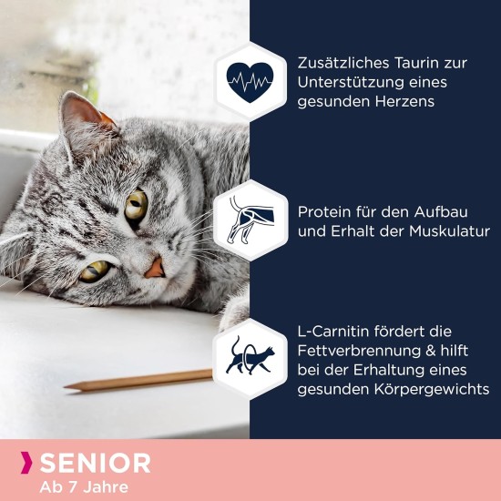EUKANUBA Junior Wet Grain-Free Cat Food - Premium Wet Food with Lots of Salmon for Kittens, 12 x 85 g EUKANUBA Junior Wet Grain-Free Cat Food - Premium Wet Food with Lots of Salmon for Kittens, 12 x 85 g