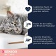 EUKANUBA Junior Wet Grain-Free Cat Food - Premium Wet Food with Lots of Salmon for Kittens, 12 x 85 g EUKANUBA Junior Wet Grain-Free Cat Food - Premium Wet Food with Lots of Salmon for Kittens, 12 x 85 g