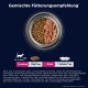 EUKANUBA Junior Wet Grain-Free Cat Food - Premium Wet Food with Lots of Salmon for Kittens, 12 x 85 g EUKANUBA Junior Wet Grain-Free Cat Food - Premium Wet Food with Lots of Salmon for Kittens, 12 x 85 g