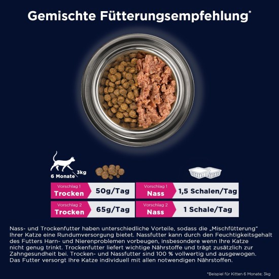 EUKANUBA Junior Wet Grain-Free Cat Food - Premium Wet Food with Lots of Salmon for Kittens, 12 x 85 g EUKANUBA Junior Wet Grain-Free Cat Food - Premium Wet Food with Lots of Salmon for Kittens, 12 x 85 g