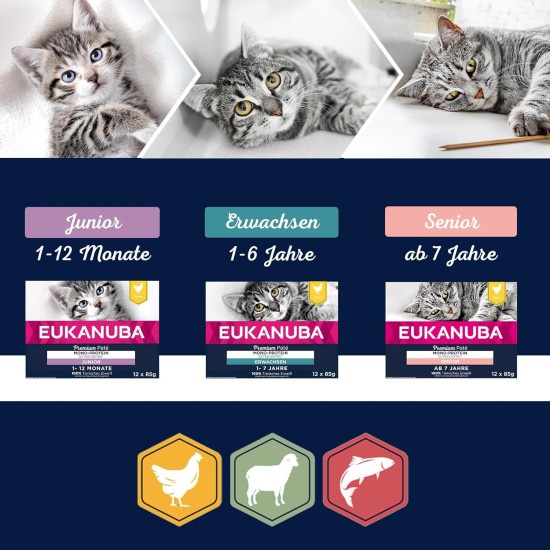 EUKANUBA Junior Wet Grain-Free Cat Food - Premium Wet Food with Lots of Salmon for Kittens, 12 x 85 g EUKANUBA Junior Wet Grain-Free Cat Food - Premium Wet Food with Lots of Salmon for Kittens, 12 x 85 g