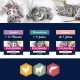 EUKANUBA Junior Wet Grain-Free Cat Food - Premium Wet Food with Lots of Salmon for Kittens, 12 x 85 g EUKANUBA Junior Wet Grain-Free Cat Food - Premium Wet Food with Lots of Salmon for Kittens, 12 x 85 g