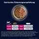 EUKANUBA Junior Wet Grain-Free Cat Food - Premium Wet Food with Lots of Salmon for Kittens, 12 x 85 g EUKANUBA Junior Wet Grain-Free Cat Food - Premium Wet Food with Lots of Salmon for Kittens, 12 x 85 g