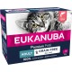 EUKANUBA Junior Wet Grain-Free Cat Food - Premium Wet Food with Lots of Salmon for Kittens, 12 x 85 g EUKANUBA Junior Wet Grain-Free Cat Food - Premium Wet Food with Lots of Salmon for Kittens, 12 x 85 g