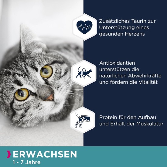 EUKANUBA Junior Wet Grain-Free Cat Food - Premium Wet Food with Lots of Salmon for Kittens, 12 x 85 g EUKANUBA Junior Wet Grain-Free Cat Food - Premium Wet Food with Lots of Salmon for Kittens, 12 x 85 g