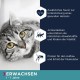 EUKANUBA Junior Wet Grain-Free Cat Food - Premium Wet Food with Lots of Salmon for Kittens, 12 x 85 g EUKANUBA Junior Wet Grain-Free Cat Food - Premium Wet Food with Lots of Salmon for Kittens, 12 x 85 g