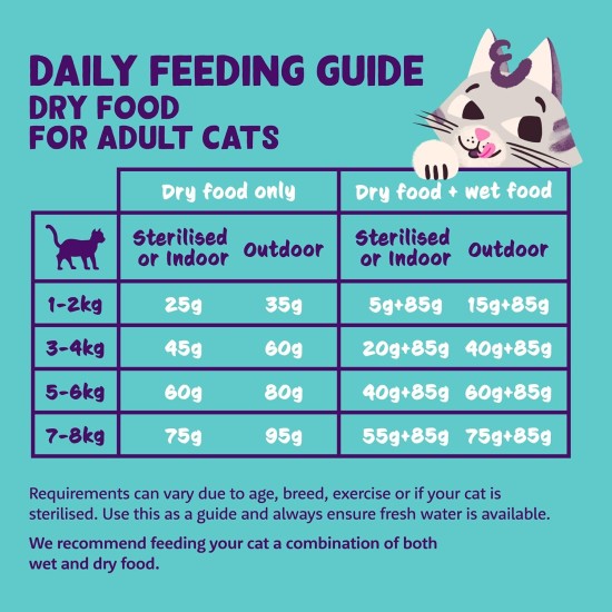 Edgard & Cooper Cat Food for Seniors (Turkey & Chicken, 2kg), Sterilized and Active Cat Food, Grain-Free, Natural Ingredients, Fresh Meat, Hypoallergenic, No Added Sugar Edgard & Cooper Cat Food for Seniors (Turkey & Chicken, 2kg), Sterilized and Active Cat Food, Grain-Free, Natural Ingredients, Fresh Meat, Hypoallergenic, No Added Sugar