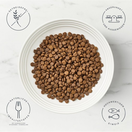 Encore Cat Food Dry Mix 800g, Pack of 3 Encore Cat Food Dry Mix 800g, Pack of 3