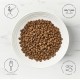 Encore Cat Food Dry Mix 800g, Pack of 3 Encore Cat Food Dry Mix 800g, Pack of 3