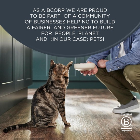 Encore Complete Natural Grain-Free Chicken with Salmon Flavour Dry Food for Adult Cats - Pack of 3 x 800g Bags Encore Complete Natural Grain-Free Chicken with Salmon Flavour Dry Food for Adult Cats - Pack of 3 x 800g Bags