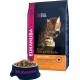 Eukanuba Dry Cat Food Adult Chicken Liver, 2 Kg Eukanuba Dry Cat Food Adult Chicken Liver, 2 Kg