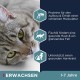 Eukanuba Dry Cat Food Adult Chicken Liver, 2 Kg Eukanuba Dry Cat Food Adult Chicken Liver, 2 Kg
