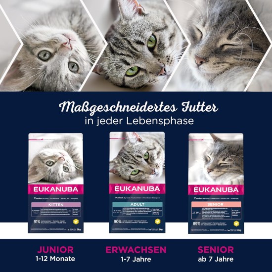 Eukanuba Dry Cat Food Adult Chicken Liver, 2 Kg Eukanuba Dry Cat Food Adult Chicken Liver, 2 Kg