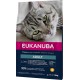Eukanuba Dry Cat Food Adult Chicken Liver, 2 Kg Eukanuba Dry Cat Food Adult Chicken Liver, 2 Kg