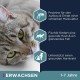 Eukanuba Dry Cat Food Adult Chicken Liver, 2 Kg Eukanuba Dry Cat Food Adult Chicken Liver, 2 Kg