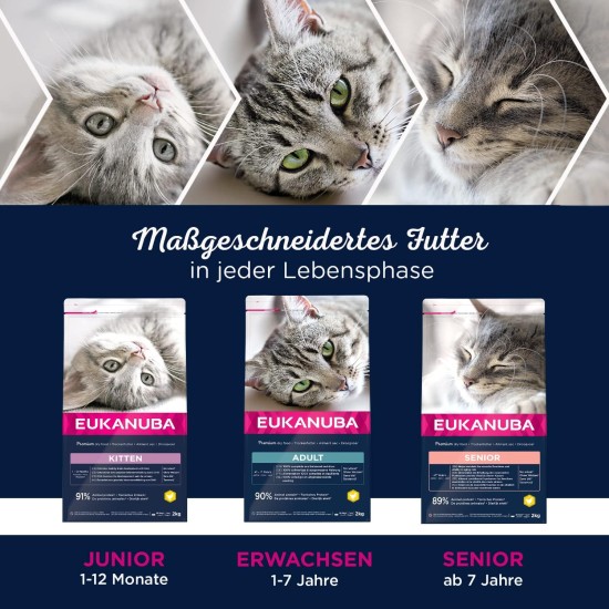 Eukanuba Dry Cat Food Adult Chicken Liver, 2 Kg Eukanuba Dry Cat Food Adult Chicken Liver, 2 Kg
