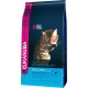 Eukanuba Dry Cat Food Senior Chicken Liver, 10 kg