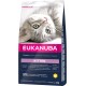 Eukanuba Dry Kitten Food Chicken Liver, 10 kg Eukanuba Dry Kitten Food Chicken Liver, 10 kg