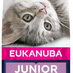 Eukanuba Dry Kitten Food Chicken Liver, 2 kg Eukanuba Dry Kitten Food Chicken Liver, 2 kg