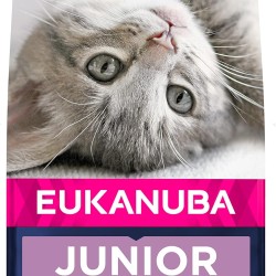 Eukanuba Dry Kitten Food Chicken Liver, 2 kg Eukanuba Dry Kitten Food Chicken Liver, 2 kg