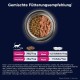 Eukanuba Junior Katzenfutter trocken getreidefrei - Premium Trockenfutter mit viel Lachs für Kitten, 2 kg Eukanuba Junior Katzenfutter trocken getreidefrei - Premium Trockenfutter mit viel Lachs für Kitten, 2 kg
