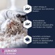 Eukanuba Senior Katzenfutter trocken getreidefrei - Premium Trockenfutter mit viel Lachs für ältere Katzen, 2kg Eukanuba Senior Katzenfutter trocken getreidefrei - Premium Trockenfutter mit viel Lachs für ältere Katzen, 2kg