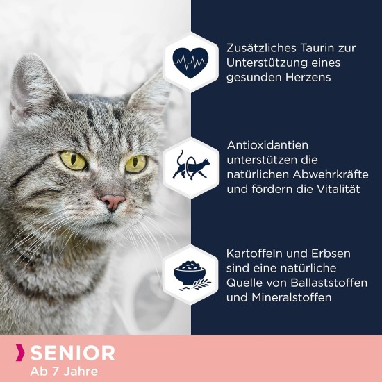 Eukanuba Senior Katzenfutter trocken getreidefrei - Premium Trockenfutter mit viel Lachs für ältere Katzen, 2kg Eukanuba Senior Katzenfutter trocken getreidefrei - Premium Trockenfutter mit viel Lachs für ältere Katzen, 2kg