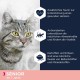 Eukanuba Senior Katzenfutter trocken getreidefrei - Premium Trockenfutter mit viel Lachs für ältere Katzen, 2kg Eukanuba Senior Katzenfutter trocken getreidefrei - Premium Trockenfutter mit viel Lachs für ältere Katzen, 2kg