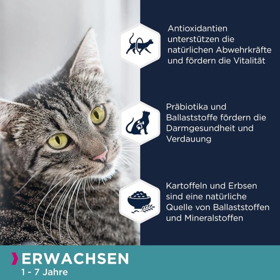 Eukanuba Senior Katzenfutter trocken getreidefrei - Premium Trockenfutter mit viel Lachs für ältere Katzen, 2kg Eukanuba Senior Katzenfutter trocken getreidefrei - Premium Trockenfutter mit viel Lachs für ältere Katzen, 2kg