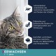 Eukanuba Senior Katzenfutter trocken getreidefrei - Premium Trockenfutter mit viel Lachs für ältere Katzen, 2kg Eukanuba Senior Katzenfutter trocken getreidefrei - Premium Trockenfutter mit viel Lachs für ältere Katzen, 2kg