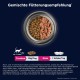 Eukanuba Senior Katzenfutter trocken getreidefrei - Premium Trockenfutter mit viel Lachs für ältere Katzen, 2kg Eukanuba Senior Katzenfutter trocken getreidefrei - Premium Trockenfutter mit viel Lachs für ältere Katzen, 2kg