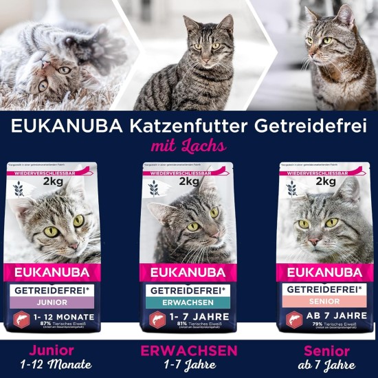 Eukanuba Senior Katzenfutter trocken getreidefrei - Premium Trockenfutter mit viel Lachs für ältere Katzen, 2kg Eukanuba Senior Katzenfutter trocken getreidefrei - Premium Trockenfutter mit viel Lachs für ältere Katzen, 2kg