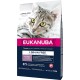 Eukanuba Senior Katzenfutter trocken getreidefrei - Premium Trockenfutter mit viel Lachs für ältere Katzen, 2kg Eukanuba Senior Katzenfutter trocken getreidefrei - Premium Trockenfutter mit viel Lachs für ältere Katzen, 2kg