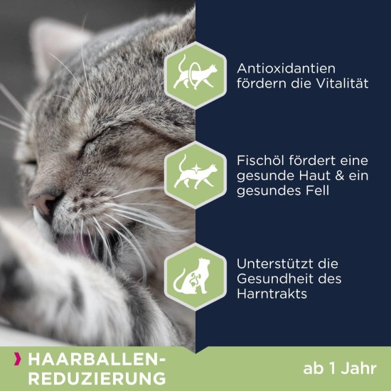 Eukanuba Special Food for Cats, Premium Dry Food, Tailored to Special Needs (Sensible Digestion / Sterilised / Anti-Hair Balls) Eukanuba Special Food for Cats, Premium Dry Food, Tailored to Special Needs (Sensible Digestion / Sterilised / Anti-Hair Balls)