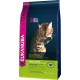 Eukanuba Special Food for Cats, Premium Dry Food, Tailored to Special Needs (Sensible Digestion / Sterilised / Anti-Hair Balls) Eukanuba Special Food for Cats, Premium Dry Food, Tailored to Special Needs (Sensible Digestion / Sterilised / Anti-Hair Balls)