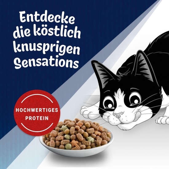 FELIX Countryside Sensations Dry Cat Food with Beef and Chicken, Pack of 1 (1 x 1 kg) FELIX Countryside Sensations Dry Cat Food with Beef and Chicken, Pack of 1 (1 x 1 kg)