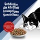 FELIX Countryside Sensations Dry Cat Food with Beef and Chicken, Pack of 1 (1 x 1 kg) FELIX Countryside Sensations Dry Cat Food with Beef and Chicken, Pack of 1 (1 x 1 kg)
