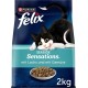 FELIX Seaside Sensations Dry Cat Food with Salmon and Vegetables, Pack of 1 (1 x 1 kg)