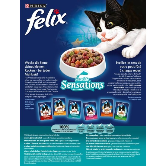 FELIX Seaside Sensations Dry Cat Food with Salmon and Vegetables, Pack of 1 (1 x 1 kg) FELIX Seaside Sensations Dry Cat Food with Salmon and Vegetables, Pack of 1 (1 x 1 kg)