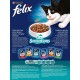 FELIX Seaside Sensations Dry Cat Food with Salmon and Vegetables, Pack of 1 (1 x 1 kg)