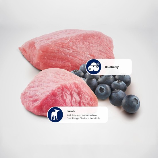 Farmina N&D Cat Grain Free Adult Lamb/Blueberry Size 300 Farmina N&D Cat Grain Free Adult Lamb/Blueberry Size 300