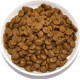 Farmina N&D Quinoa Adult Pellets Cat Food (Dry Food, with High-Quality Vitamins and Natural Antioxidants, Corn Free, Ingredients: Herring and Coconut, Serving Size: 300 g) Farmina N&D Quinoa Adult Pellets Cat Food (Dry Food, with High-Quality Vitamins and Natural Antioxidants, Corn Free, Ingredients: Herring and Coconut, Serving Size: 300 g)