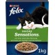 Felix Inhome Sensations Cat Dry Food (with Chicken Grain and Addition of Garden Green) 1 kg Box Felix Inhome Sensations Cat Dry Food (with Chicken Grain and Addition of Garden Green) 1 kg Box
