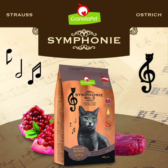 GranataPet Symphonie No. 2 Salmon, Dry Food for Cats, Complete Feed without Grains and Added Sugar, Tasty Cat Food with Fine Fish, 300 g GranataPet Symphonie No. 2 Salmon, Dry Food for Cats, Complete Feed without Grains and Added Sugar, Tasty Cat Food with Fine Fish, 300 g