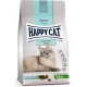 Happy Cat 70607 Sensitive Gentle Food Kidney Dry Cat Food with Poultry 1.3 kg Capacity Happy Cat 70607 Sensitive Gentle Food Kidney Dry Cat Food with Poultry 1.3 kg Capacity