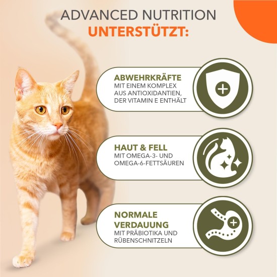 IAMS Cat Food Grain-Free with Chicken - Dry Food for Adult Cats from 1 Year Old, 2.5 kg IAMS Cat Food Grain-Free with Chicken - Dry Food for Adult Cats from 1 Year Old, 2.5 kg