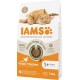 IAMS Cat Food Grain-Free with Chicken - Dry Food for Adult Cats from 1 Year Old, 2.5 kg IAMS Cat Food Grain-Free with Chicken - Dry Food for Adult Cats from 1 Year Old, 2.5 kg