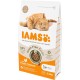 IAMS Cat Food Grain-Free with Chicken - Dry Food for Adult Cats from 1 Year Old, 2.5 kg IAMS Cat Food Grain-Free with Chicken - Dry Food for Adult Cats from 1 Year Old, 2.5 kg