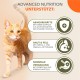 IAMS Cat Food Grain-Free with Fish - Dry Food for Adult Cats from 1 Year Old, 2.5 kg
