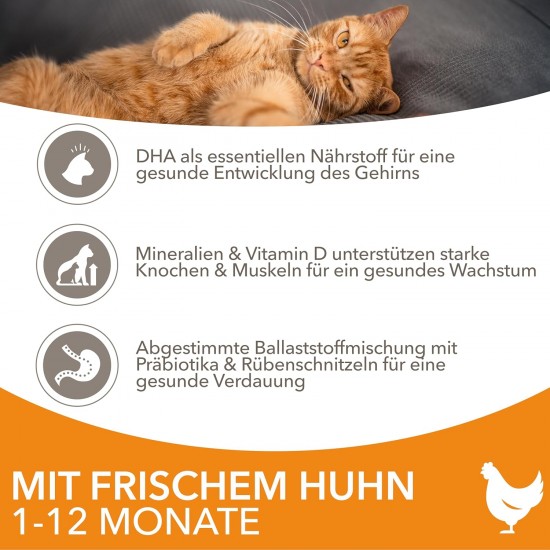 IAMS Junior Dry Cat Food with Chicken - Dry Food for Kittens Aged 1-12 Months, 1.5 kg IAMS Junior Dry Cat Food with Chicken - Dry Food for Kittens Aged 1-12 Months, 1.5 kg